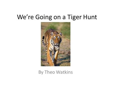 We’re Going on a Tiger Hunt