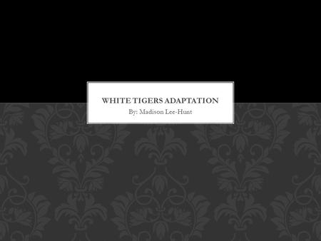 White Tigers Adaptation