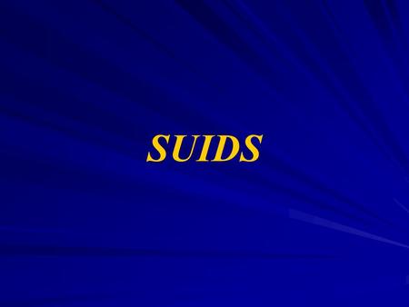 SUIDS. Definition of Sudden Infant Death Syndrome (SIDS ) The sudden and unexpected death of an apparently healthy infant usually under one year of age.