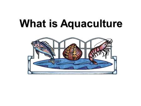 What is Aquaculture. Photograph by HBOI Mariculture The husbandry marine organisms Photograph by HBOI.