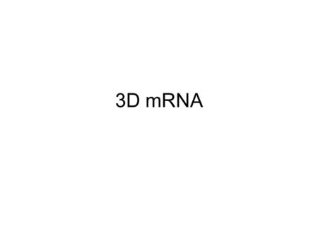 3D mRNA. Function Single stranded Internal base paring and loop formation Termination of protein synthesis Balances of multi protein units.