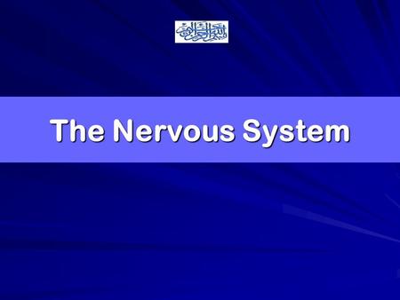 The Nervous System. Objectives At the end of the lecture, the students should be able to: List the subdivisions of the nervous system Define the terms: