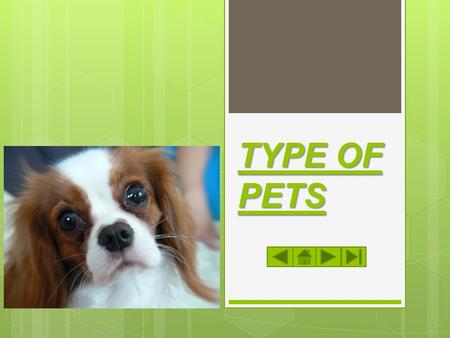 TYPE OF PETS WELCOME! This is a module to teach you all about the different types of pets. This knowledge may help you decide which type of pet to get.