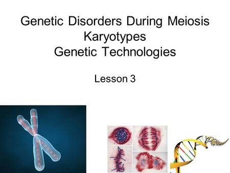 Genetic Disorders During Meiosis Karyotypes Genetic Technologies Lesson 3.