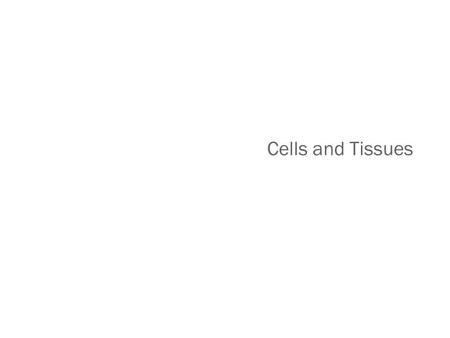 Cells and Tissues.