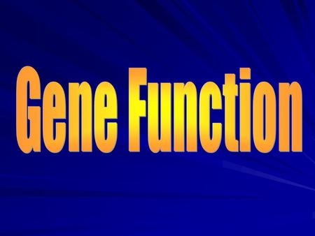 Genes – Coding and Flanking Genes are made up of different regions: –Coding region – part that contains information for producing the protein –Flanking.