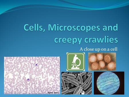 A close up on a cell. Living things are called organisms Organisms are made up of one or more cells Your body is made up of trillions! of cells Cells.