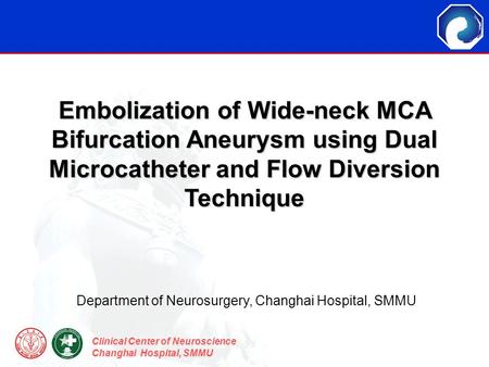 Department of Neurosurgery, Changhai Hospital, SMMU