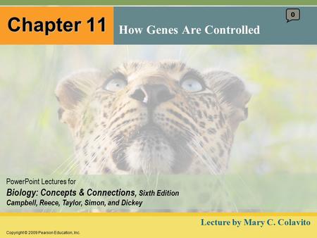 Copyright © 2009 Pearson Education, Inc. PowerPoint Lectures for Biology: Concepts & Connections, Sixth Edition Campbell, Reece, Taylor, Simon, and Dickey.