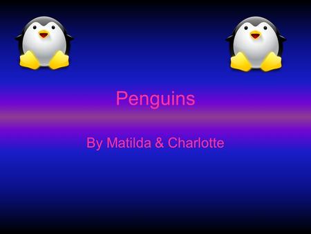 Penguins By Matilda & Charlotte.