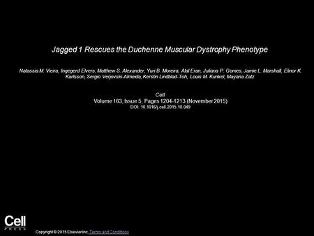 Jagged 1 Rescues the Duchenne Muscular Dystrophy Phenotype Natassia M. Vieira, Ingegerd Elvers, Matthew S. Alexander, Yuri B. Moreira, Alal Eran, Juliana.