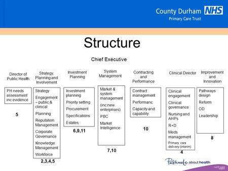 Structure Chief Executive Contracting and Performance System Management Director of Public Health Investment Planning Strategy, Planning and Involvement.