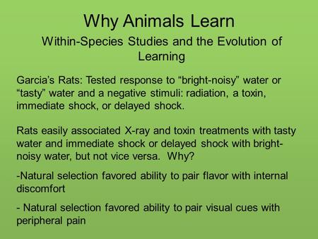 Why Animals Learn Within-Species Studies and the Evolution of Learning Garcia’s Rats: Tested response to “bright-noisy” water or “tasty” water and a negative.