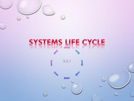 3.3.1. A BRIEF LOOK AT THE COMPONENTS THAT MAKE UP THE SYSTEM LIFE CYCLE.