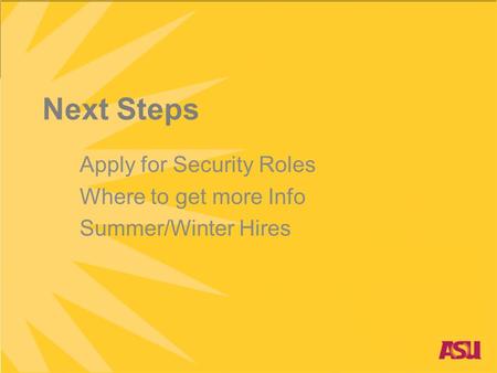 Next Steps Apply for Security Roles Where to get more Info Summer/Winter Hires.