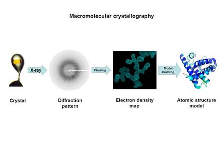 Atomic structure model