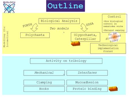 ` ` Outline Biological Analysis Two models Polychaeta FORTH Olygochaeta, Caterpillar Modelling (for locomotion) SSSA Control How biological control in.