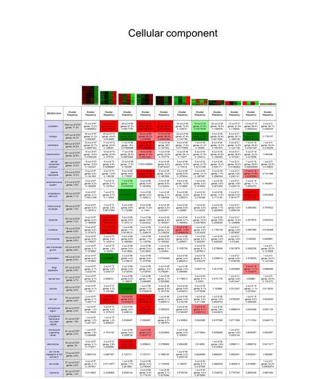 GO-Slim term Cluster frequency cytoplasm 1944 out of 2727 genes, 71.3% 70 out of 97 genes, 72.2% 0.08995522 62 out of 72 genes, 86.1% 0.001430266 39 out.