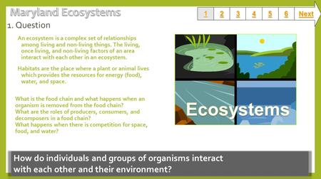 1. Question An ecosystem is a complex set of relationships among living and non-living things. The living, once living, and non-living factors of an area.