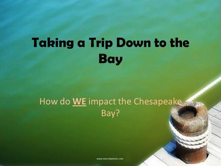 Taking a Trip Down to the Bay How do WE impact the Chesapeake Bay?