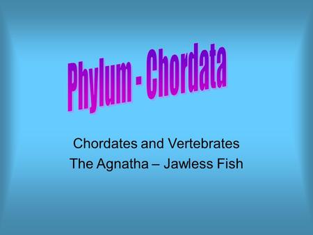 Chordates and Vertebrates The Agnatha – Jawless Fish.