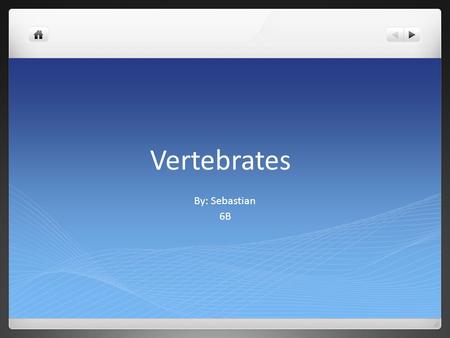 Vertebrates By: Sebastian 6B. What are vertebrates? Vertebrates are living organisms that have a vertebrate so they have a back bone. In the vertebrate.