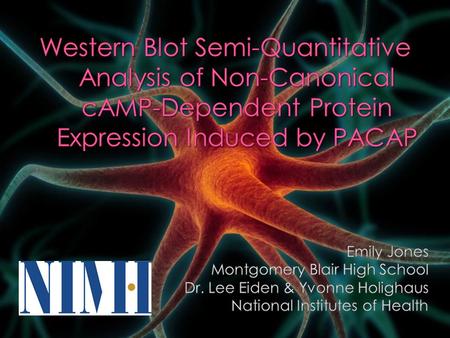 The goal of this project was to see if a hormone that prevents brain cells from dying could protect cells through a previously unknown pathway. We also.