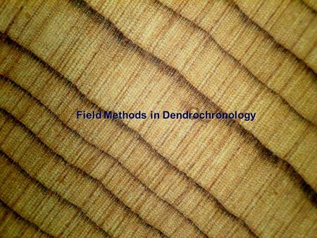 Field Methods in Dendrochronology. Field Methods in Dendrochronology: So, if you’ve selected your site and you can even see your trees. NOW WHAT?So, if.