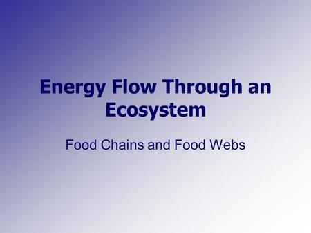 Energy Flow Through an Ecosystem