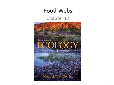 Food Webs Chapter 17.