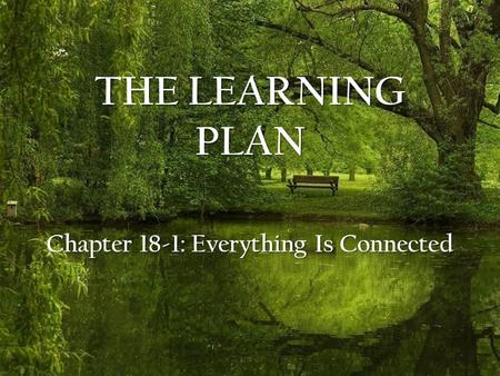 THE LEARNING PLAN Chapter 18-1: Everything Is Connected.