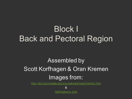 Block I Back and Pectoral Region Assembled by Scott Korfhagen & Oran Kremen Images from:  & NetAnatomy.com.