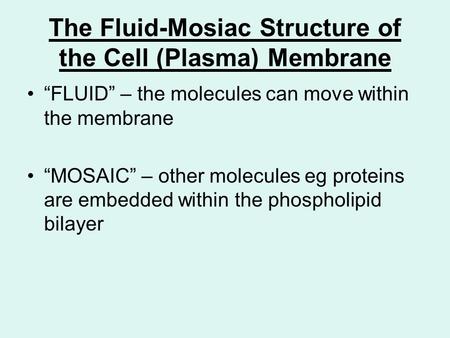 The Fluid-Mosiac Structure of the Cell (Plasma) Membrane “FLUID” – the molecules can move within the membrane “MOSAIC” – other molecules eg proteins are.