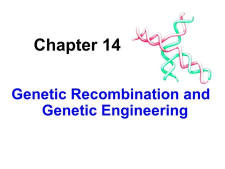 Genetic Recombination and Genetic Engineering