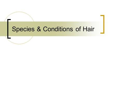 Species & Conditions of Hair