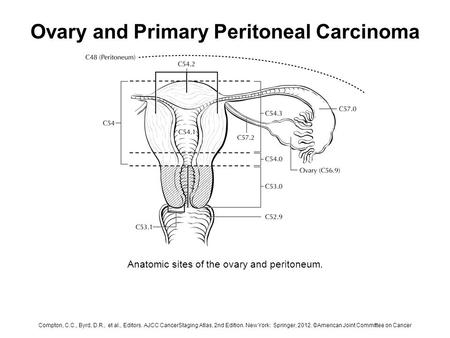 Ovary and Primary Peritoneal Carcinoma Anatomic sites of the ovary and peritoneum. Compton, C.C., Byrd, D.R., et al., Editors. AJCC CancerStaging Atlas,