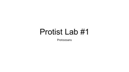 Protist Lab #1 Protozoans. Descriptive terms not taxa Protist = Eukaryotes that are not Fungi, Plants, or Animals Protozoans = “animal-like”, i.e., heterotrophic.