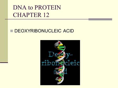 DNA to PROTEIN CHAPTER 12 DEOXYRIBONUCLEIC ACID. DNA: replication and protein synthesis.