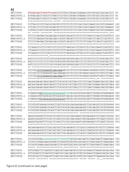 A) EF175930 ATGGACAACTCAGCTCCAGACTCTTTACCTAGATCGGAAACCGCCGTCACCTACGACTCT 60 HM208590.1 ATGGACAACTCAGCTCCGGACTCCTTACCTAGATCGGAAACCGCCGTCACCTACGACTCT 60.