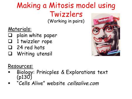 Making a Mitosis model using Twizzlers (Working in pairs)