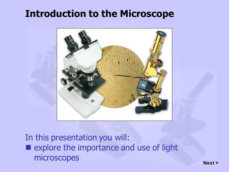 In this presentation you will: explore the importance and use of light microscopes Introduction to the Microscope Next >