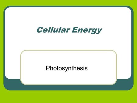 Cellular Energy Photosynthesis. Energy in Living Systems All organisms need energy to survive The sun is the first and largest source of energy Autotrophs.