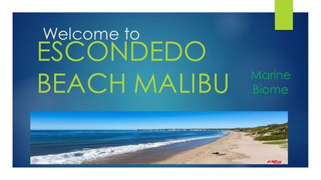 Welcome to ESCONDEDO BEACH MALIBU Marine Biome.