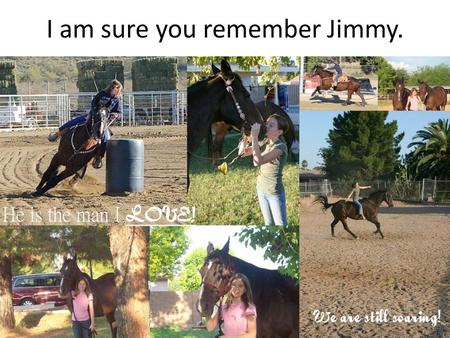 I am sure you remember Jimmy.. Well, trouble struck again in the Old Jimmy’s life.