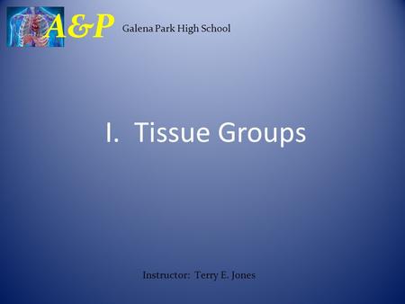 I. Tissue Groups Galena Park High School A&P Instructor: Terry E. Jones.