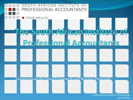 Comments on the Fiscal Framework and Revenue Proposals South African Institute of Professional Accountants.