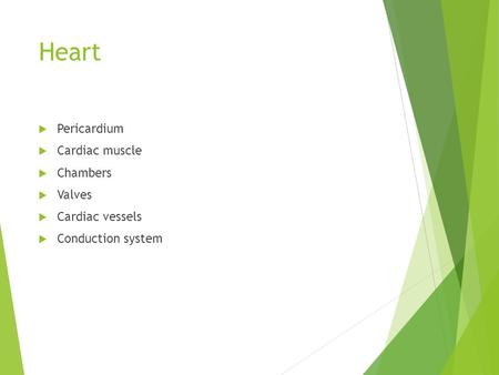 Heart  Pericardium  Cardiac muscle  Chambers  Valves  Cardiac vessels  Conduction system.