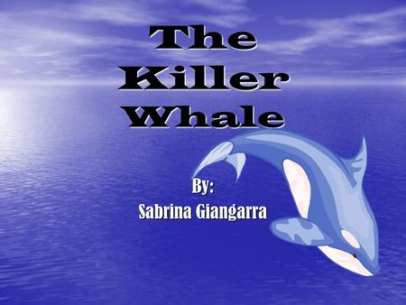 The Killer Whale By: Sabrina Giangarra. Scientific Name The scientific name for the killer whale is Orcinus Orca. Derived from the Latin word orcas-meaning.