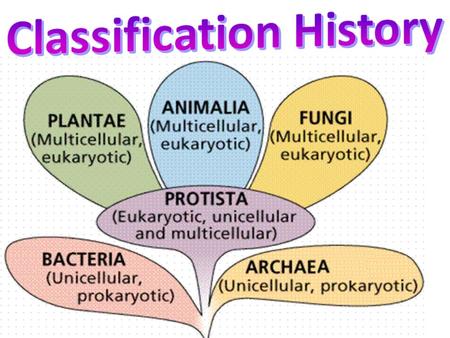 Classification History