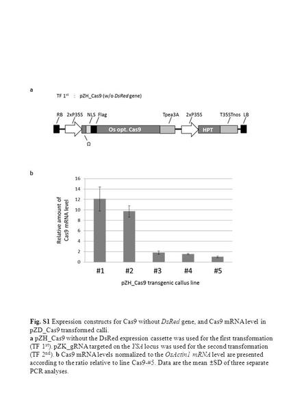 A b Fig. S1 Expression constructs for Cas9 without DsRed gene, and Cas9 mRNA level in pZD_Cas9 transformed calli. a pZH_Cas9 without the DsRed expression.